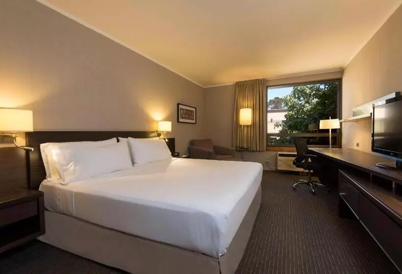 キングサイズベッドのスタンダードルーム, Holiday Inn Express   Temuco, An Ihg