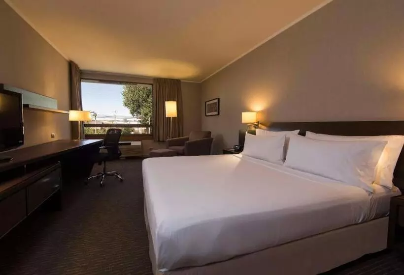キングサイズベッドのスタンダードルーム, Holiday Inn Express   Temuco, An Ihg
