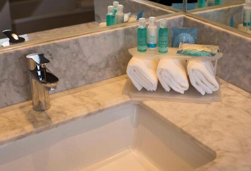 חדר סטנדרט, מיטת קינג, מותאם לאדם עם מוגבלויות, Holiday Inn Express   Temuco, An Ihg