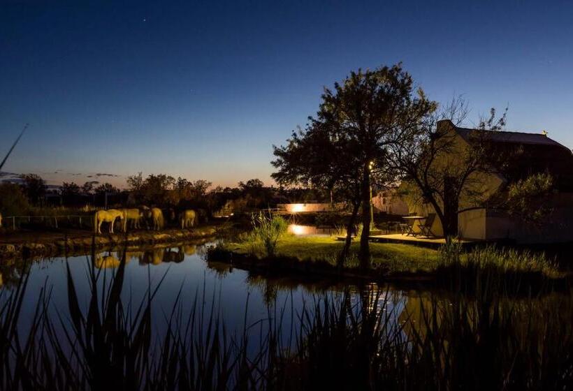 غرفة ديلوكس, Les Bains Gardians