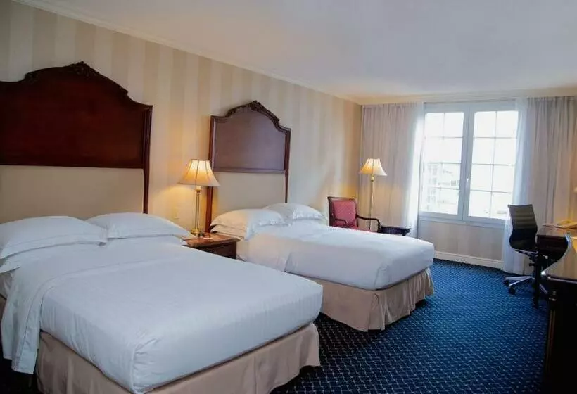 اتاق سوپریور, Barcelo San Salvador
