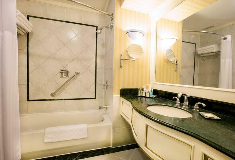 디럭스 룸 킹사이즈 침대, Barcelo San Salvador