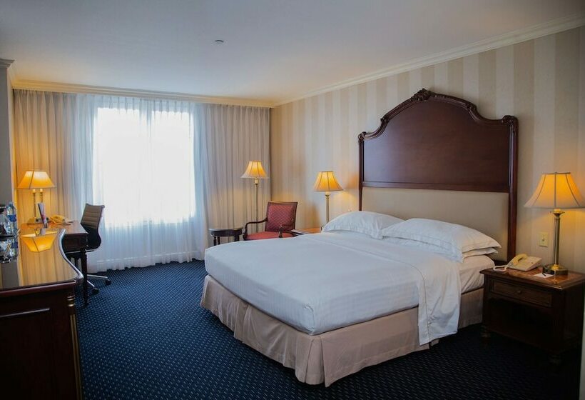 디럭스 룸 킹사이즈 침대, Barcelo San Salvador