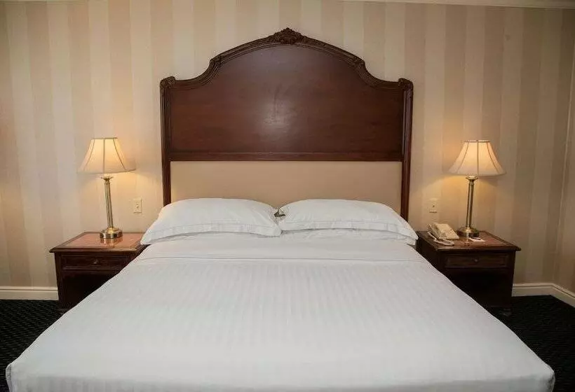 اتاق سوپریور با تخت بزرگ, Barcelo San Salvador