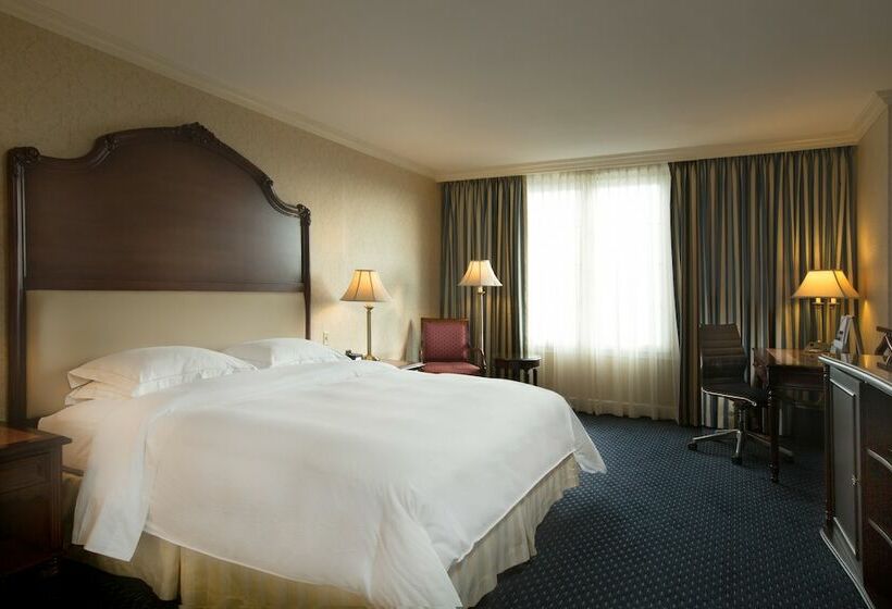 프리미엄 룸, Barcelo San Salvador