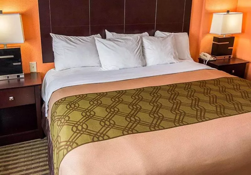 اتاق سوپریور, Barcelo San Salvador