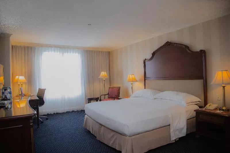 اتاق سوپریور با تخت بزرگ, Barcelo San Salvador