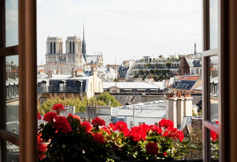 Люкс, Left Bank Saintgermain