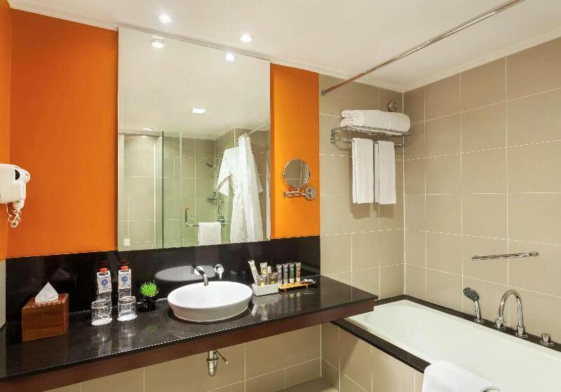 Студия Deluxe, Citadines Wilson Toulouse