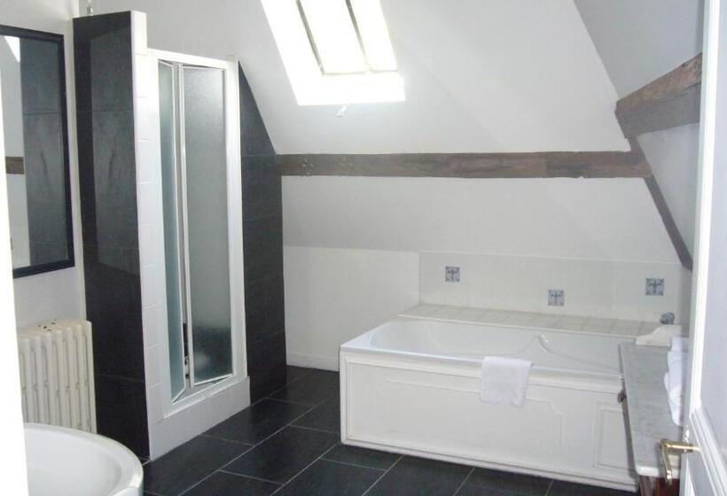 غرفة قياسية, Chateau De La Bourdaisiere