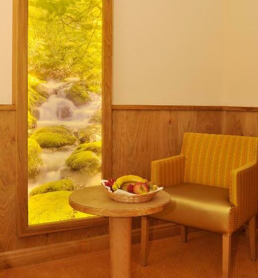 اتاق استاندارد یک نفره, Gronauer Tannenhof