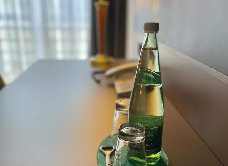 クイーンベッドのスタンダードシングルルーム, Mercure Hotel Gera City