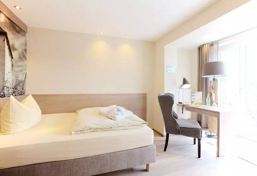 Habitación Estàndard Individual, Die Gams