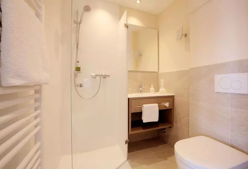 Habitación Estàndard Individual, Die Gams