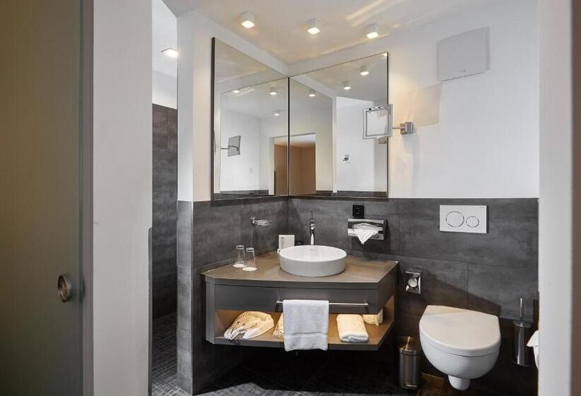 スーペリアシングルルーム, Schloss Reinach