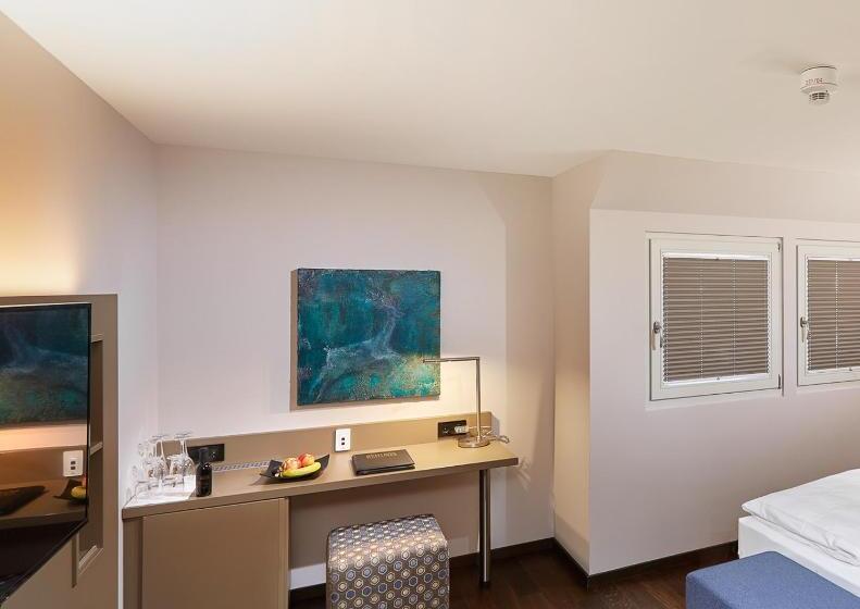 スーペリアシングルルーム, Schloss Reinach