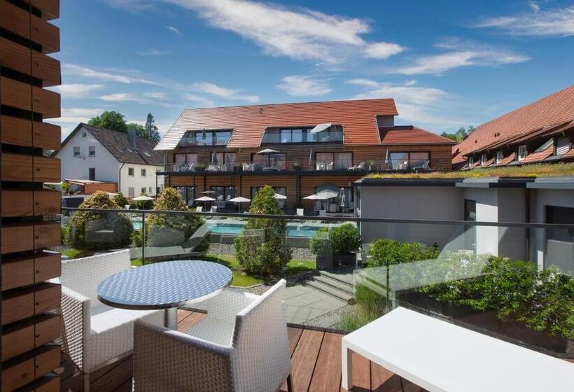 バルコニー付きスタンダードルーム, Schloss Reinach