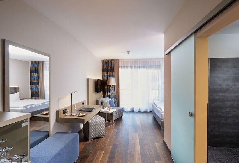 スーペリアールーム, Schloss Reinach