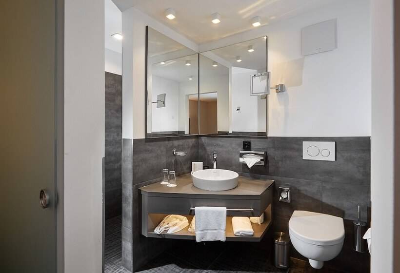 スーペリアシングルルーム, Schloss Reinach