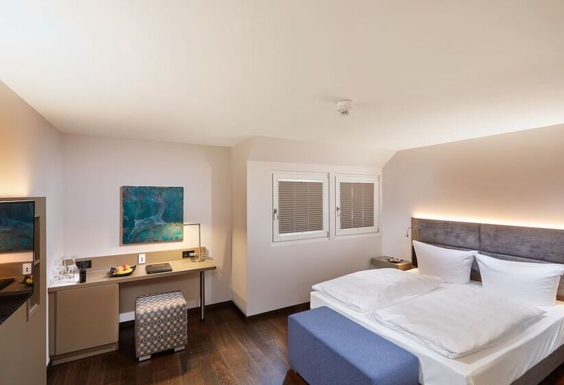 スーペリアシングルルーム, Schloss Reinach