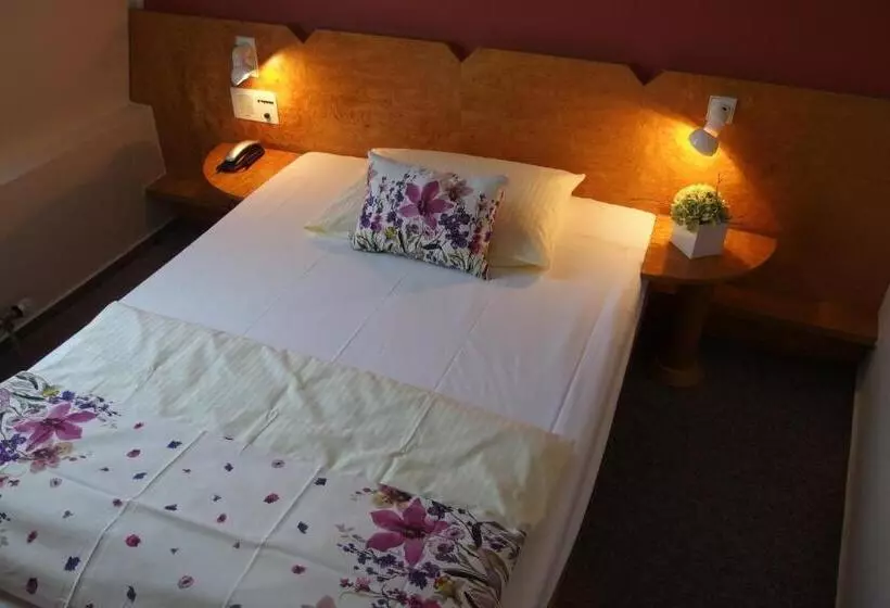 エコノミーシングルルーム, Stadthotel Engel