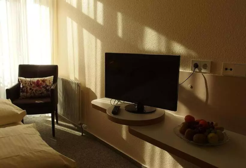 エコノミーシングルルーム, Stadthotel Engel