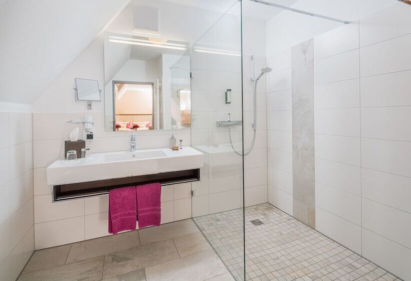 غرفة قياسية, Schlosshotel Klaffenbach