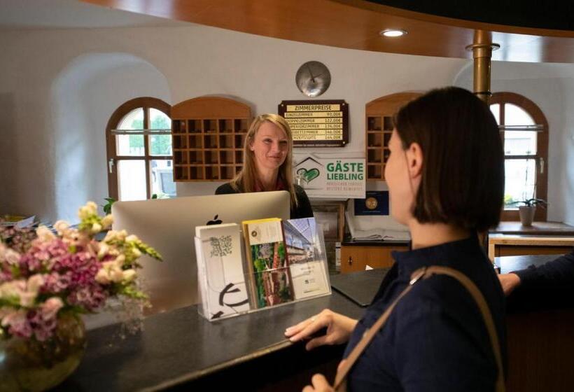 غرفة قياسية فردية, Schlosshotel Klaffenbach