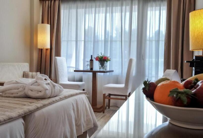 חדר סטנדרט נוף לים, Mitsis Alexander The Great