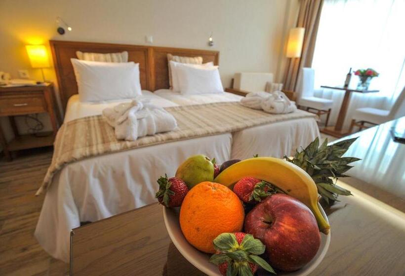 חדר סטנדרט נוף לים, Mitsis Alexander The Great