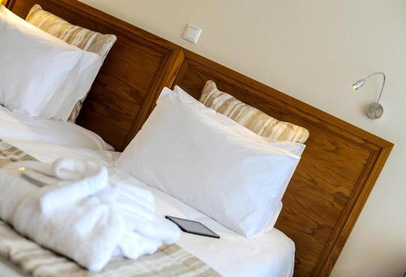 חדר סטנדרט נוף לגינה, Mitsis Alexander The Great