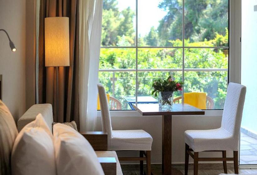 חדר סטנדרט נוף לגינה, Mitsis Alexander The Great