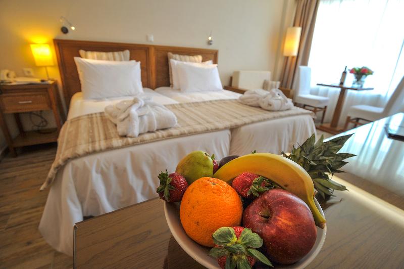 חדר סטנדרט נוף לים, Mitsis Alexander The Great