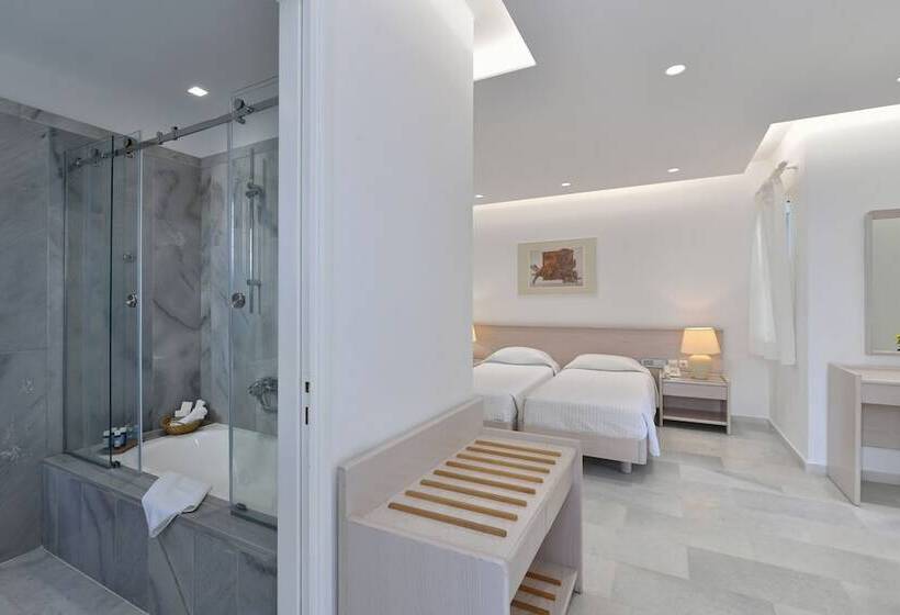 标准房带园景, Astir Of Paros