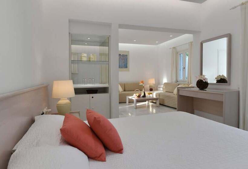 带园景的小型套房, Astir Of Paros