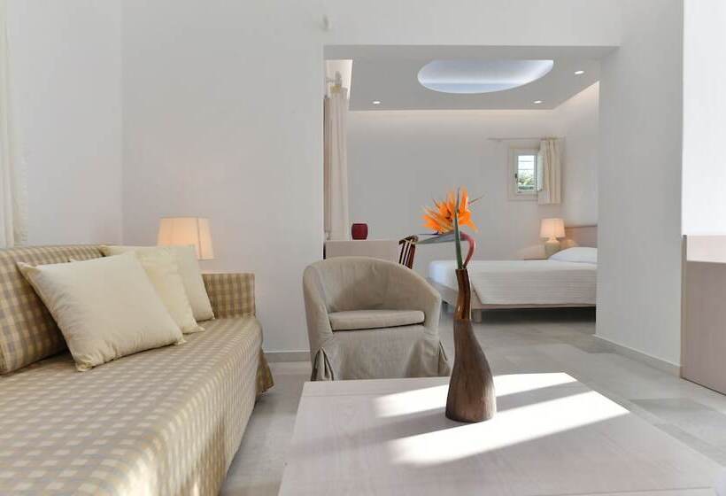 带园景的小型套房, Astir Of Paros