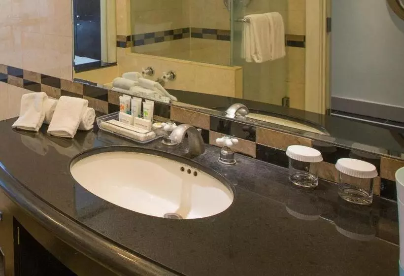 اتاق استاندارد با تخت بزرگ, Royal Orchid Hotel Guam