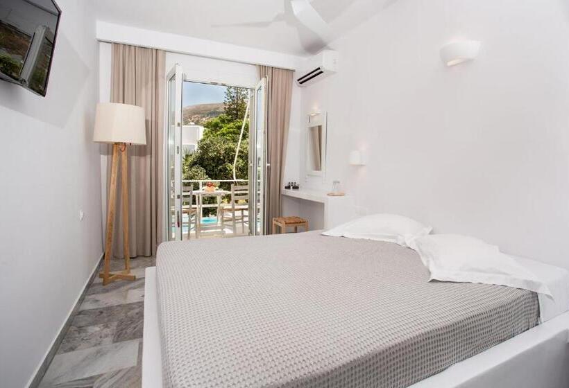 带泳池观景的豪华房, Polos Hotel Paros