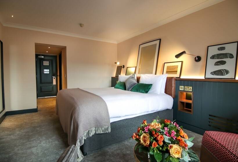 行政房间, The Alex