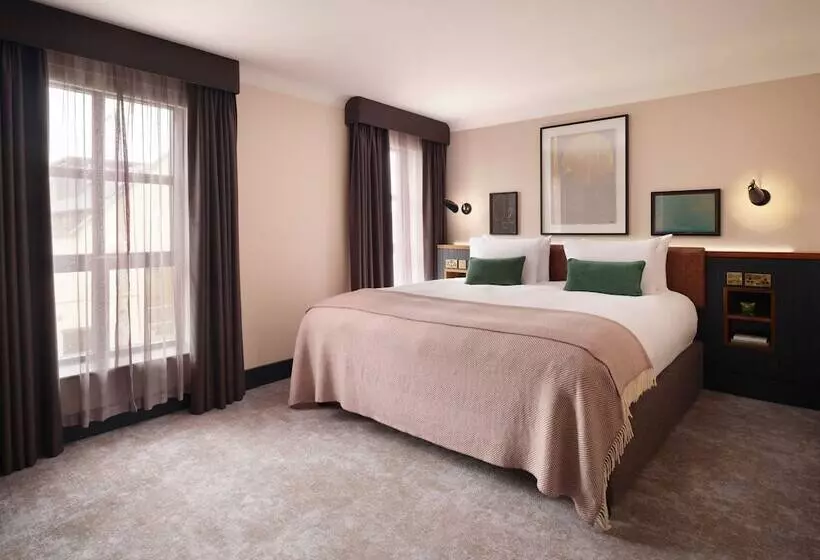 Suite, The Alex