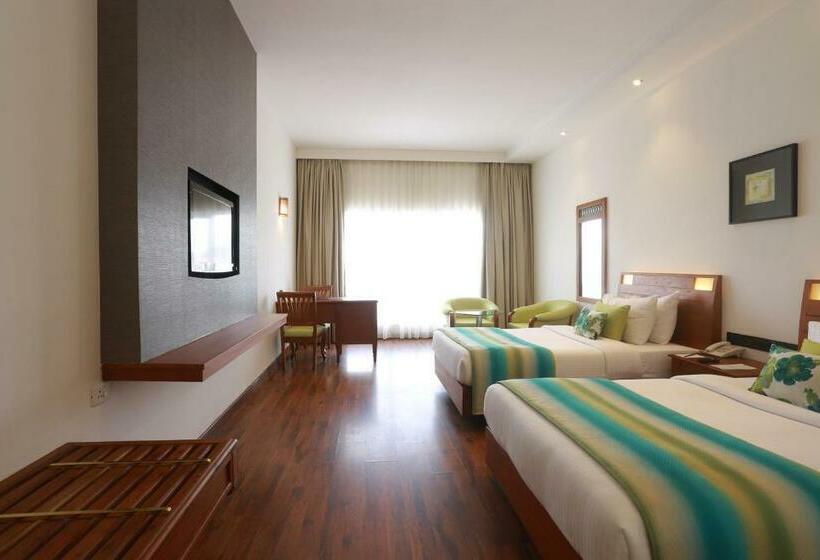 豪华房间, The Avenue Regent