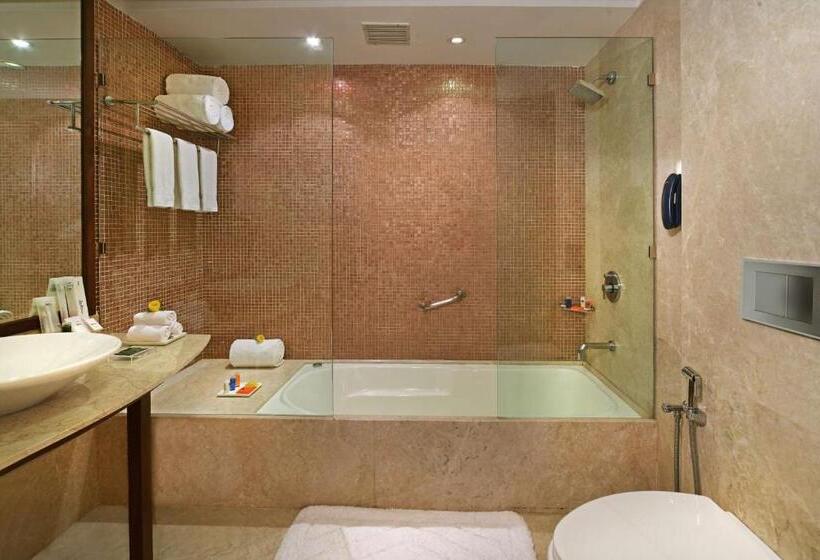 سوییت لوکس, Radisson Jass Hotel, Khajuraho