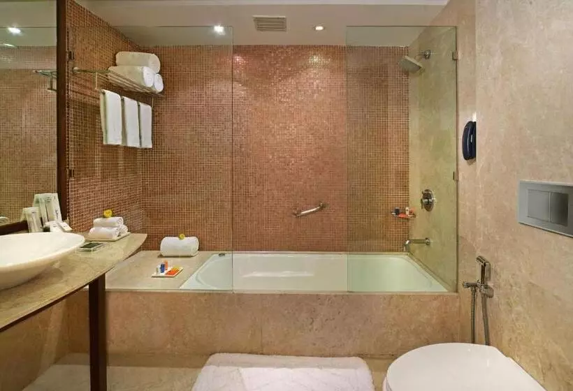 سوییت لوکس, Radisson Jass Hotel, Khajuraho