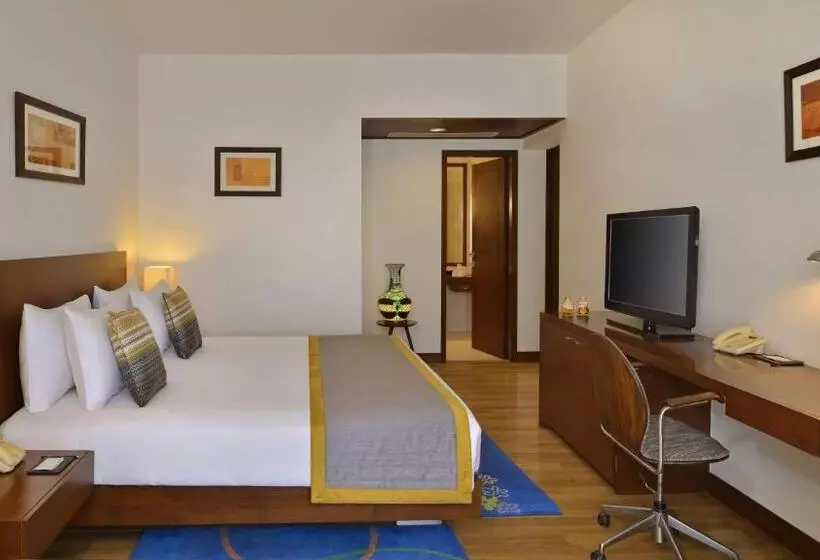 سوییت لوکس, Radisson Jass Hotel, Khajuraho