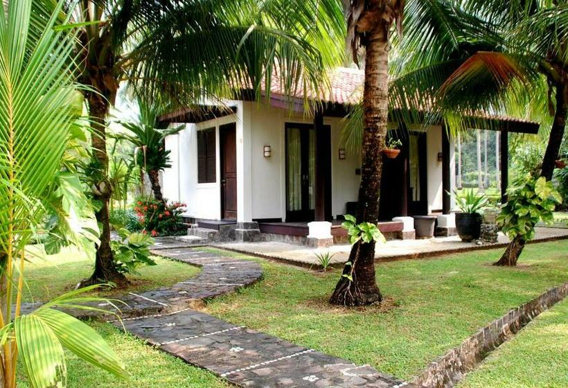 וילה בת חדר שינה 1, Grand Elty Krakatoa