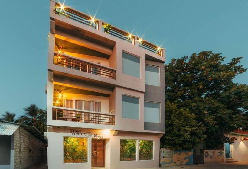 اتاق لوکس, White Coral Rasdhoo