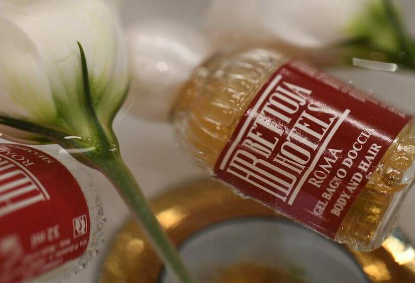 Camera Superiore, Bettoja Hotel Massimo D Azeglio