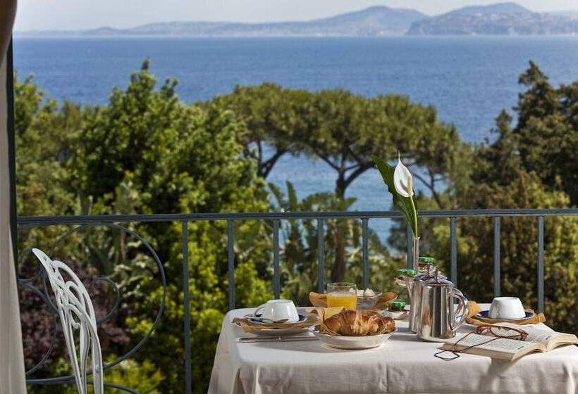 オーシャンビュースーペリアールーム, Excelsior Belvedere Hotel & Spa