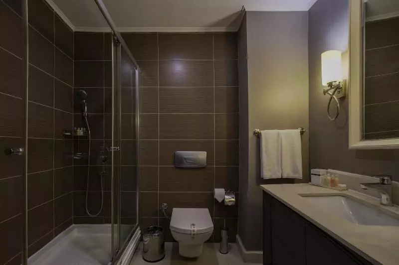 Camera Standard, Bettoja Hotel Massimo D Azeglio