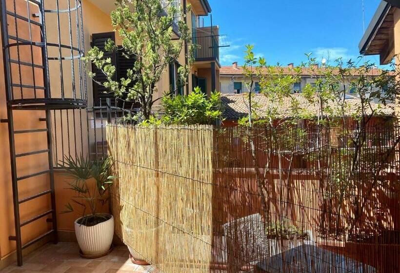 اتاق سوپریور, Il Guercino